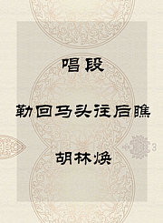 秦腔唱段-勒回马头往后瞧-胡林焕