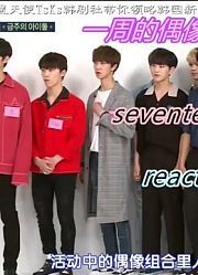 【SEVENTEEN】综艺来袭！期待已久的小十七一周的偶像reaction来啦！！二倍速直接圈死！！！