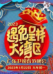 遇兔呈祥大湾区广东卫视春节晚会