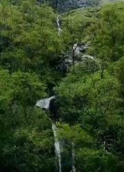 《星星点灯》《你潇洒我漂亮》《萍聚》《依兰爱情故事》《父亲》