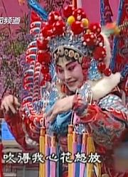 陕西豫剧《樊梨花归唐》选段：樊梨花结婚杨凡攻城，将其砍杀