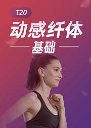 T20动感纤体基础