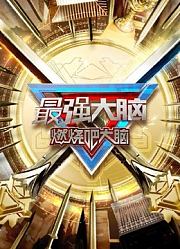 最强大脑第10季