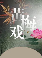 黄梅戏-女驸马