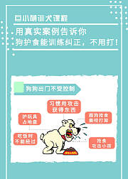 巨小萌训犬——快速纠正狗狗护食咬人，不用打！