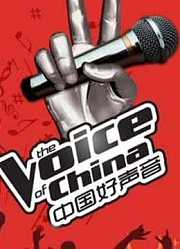 中国好声音片段合集