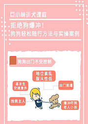 巨小萌训犬——拒绝狗暴冲，让它乖乖随行