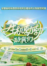 生机勃勃的我们