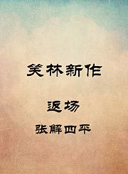 返场-张解四平