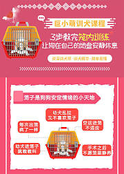 巨小萌训犬——笼内训练，让狗乖乖自愿进笼