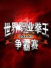 世界职业拳王争霸赛