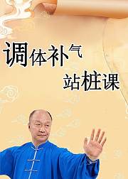 调体补气站桩课