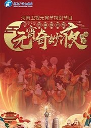河南卫视元宵奇妙夜