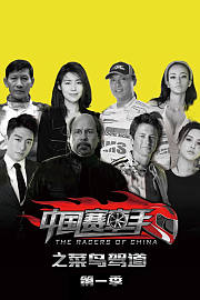 中国赛车手之菜鸟驾道