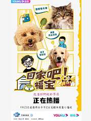回家吧！福宝