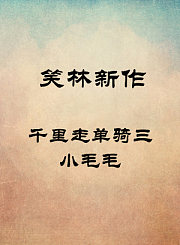 千里走单骑三-小毛毛