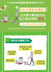 巨小萌训犬教会狗狗拒食预防乱吃中毒