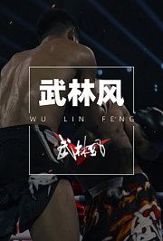 武林风2004