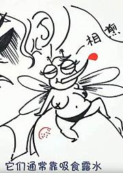 云南7083