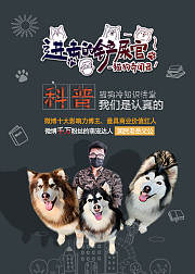 进击的铲屎官猫狗奇闻录