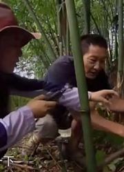 在这里虫子如何变成宝，不仅可以赚钱还是人间美味