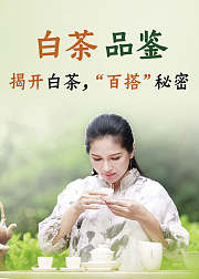 玩转中国茶白茶的品鉴买藏