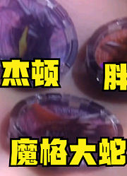伽古拉奥特曼，融合了三位超级厉害的反派，欧布来了都不是对手