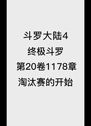 斗罗大陆4：终极斗罗第20卷1178章：淘汰赛的开始