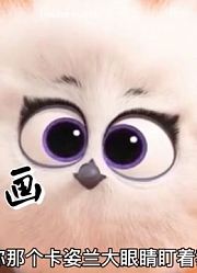 第一集你们要的治愈系动画要坚持看完哦
