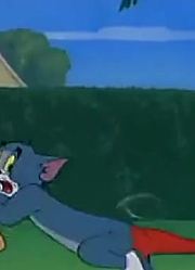 《猫和老鼠》超级赞，甚至连班长都在讨论