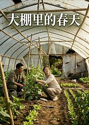 大棚里的春天