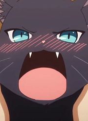 当少女变成猫咪后