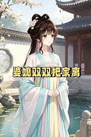 婆媳双双把家离