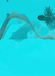 海底大猎杀海底小纵队火影忍者Larva爆笑虫子奥特曼超级飞侠2名侦探柯南倒霉熊猪猪侠铠甲勇士