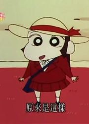怎么之前没早看《蜡笔小新》呼风唤雨的幼稚园小孩酢乙女爱出场，感觉打开了新天地