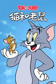 猫和老鼠