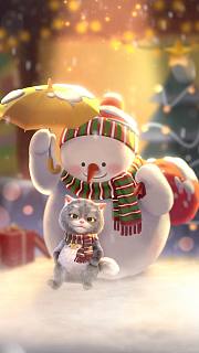 斑布猫banbokitty