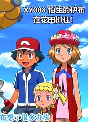 人气能和皮神媲美的宝可梦，瑟妹小遥水莲都拥有它！