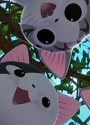 甜甜私房猫第3季