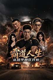 霸道人生：从踏平园区开始