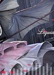 【东方Arrange】LiquidFunk~ForDeadPrincess【献给已逝公主的七重奏】
