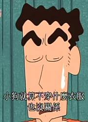 实话实说,小白也要打扮哦可能是《蜡笔小新》里质量最高的了呢