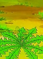 可算看完了《哆啦A梦》春风团扇上，真的很值