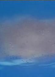 熊孩子一回家就老看《哆啦A梦》失物回来的喷雾下，游戏都不玩了