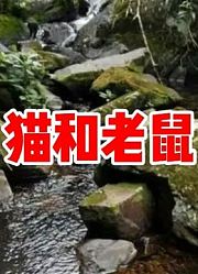 民间故事《猫和老鼠》