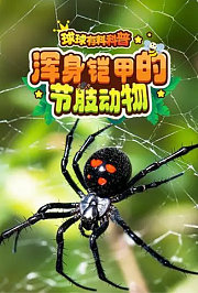 球球有料科普：浑身铠甲的节肢动物