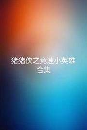 猪猪侠之竞速小英雄全集