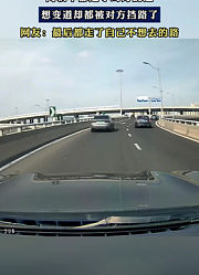 两辆车都走了对方的道，想变道却都被对方挡路了