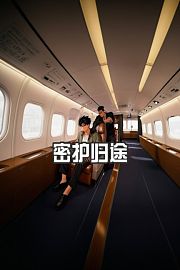 密护归途