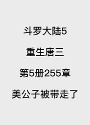 斗罗大陆5：重生唐三第5册第255章：美公子被带走了